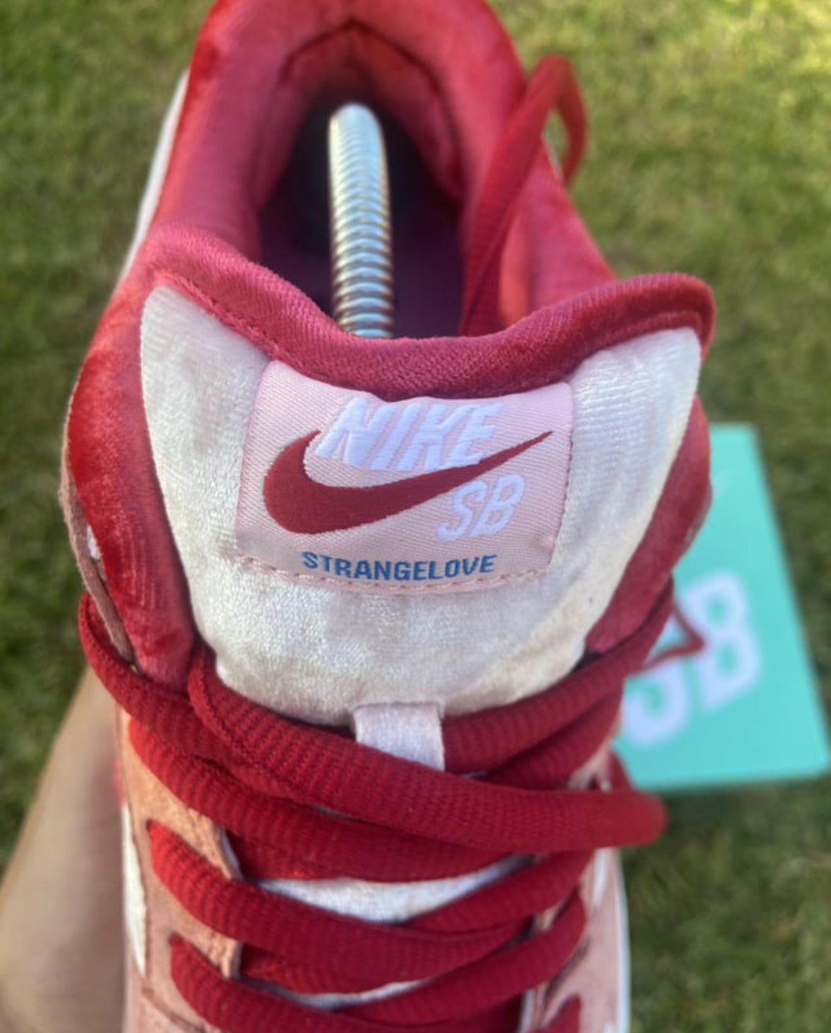 SB DUNK STRANGE LOVE