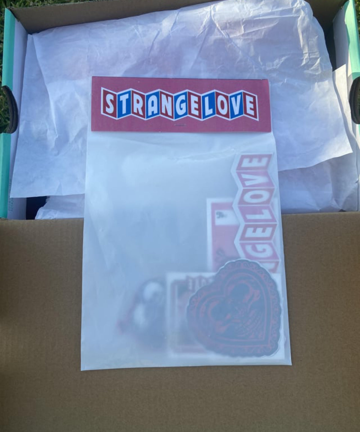 SB DUNK STRANGE LOVE