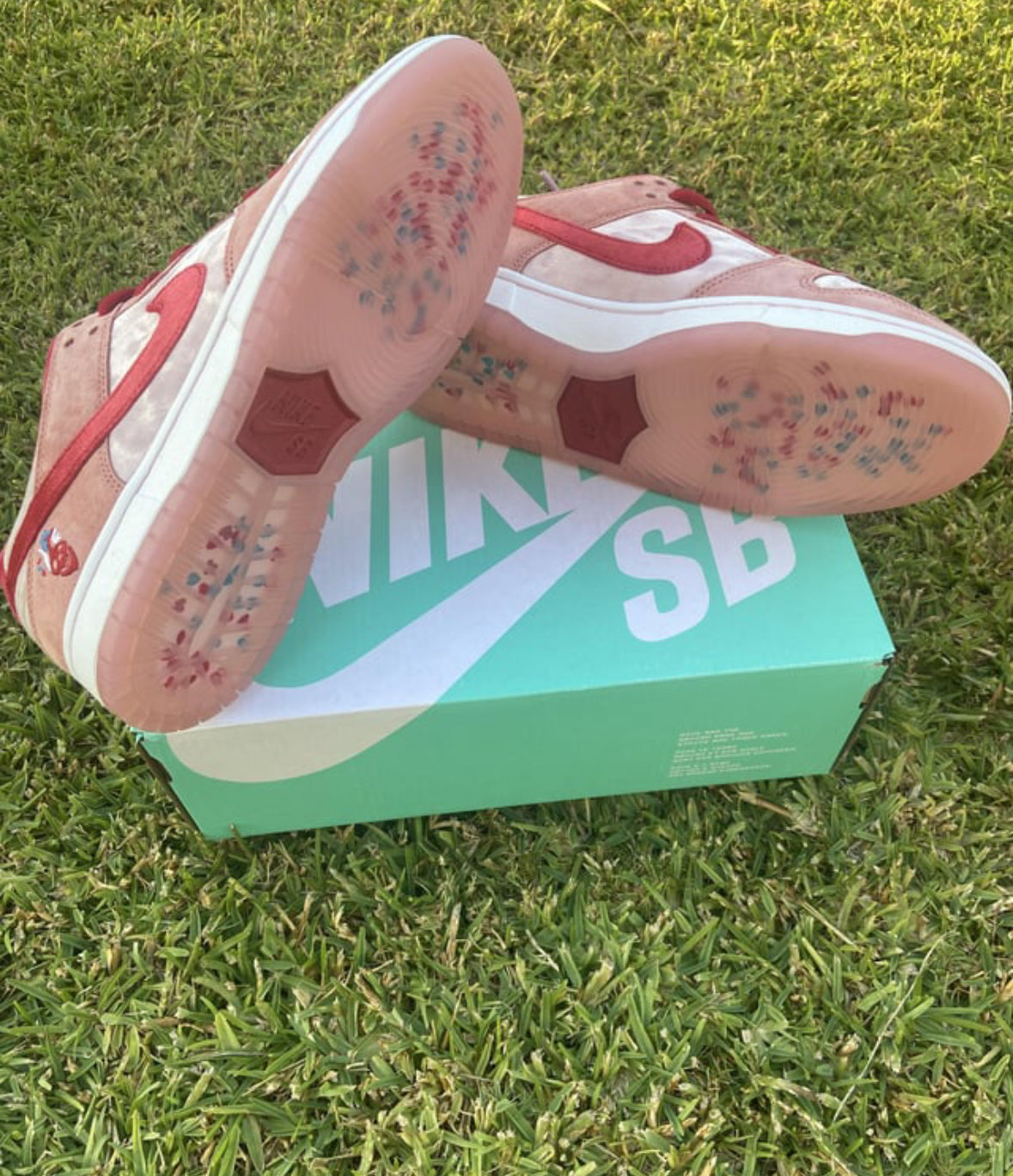 SB DUNK STRANGE LOVE