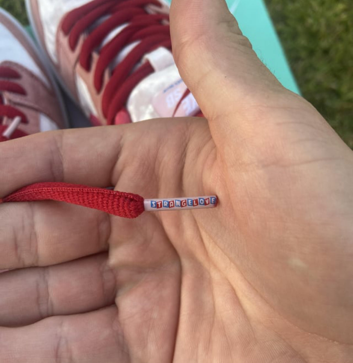 SB DUNK STRANGE LOVE