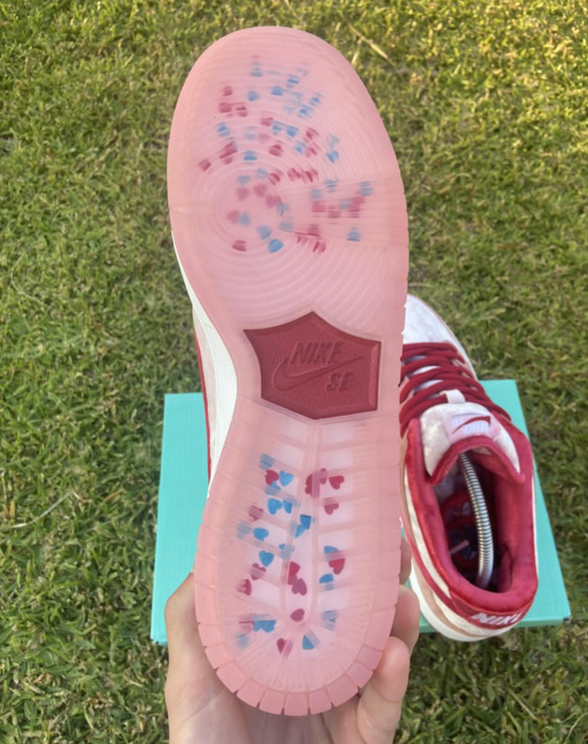 SB DUNK STRANGE LOVE