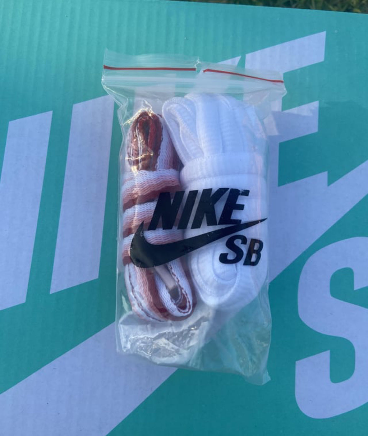 SB DUNK STRANGE LOVE
